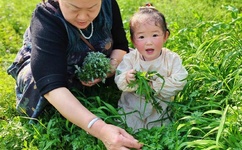 91日本在线观看亚洲精品